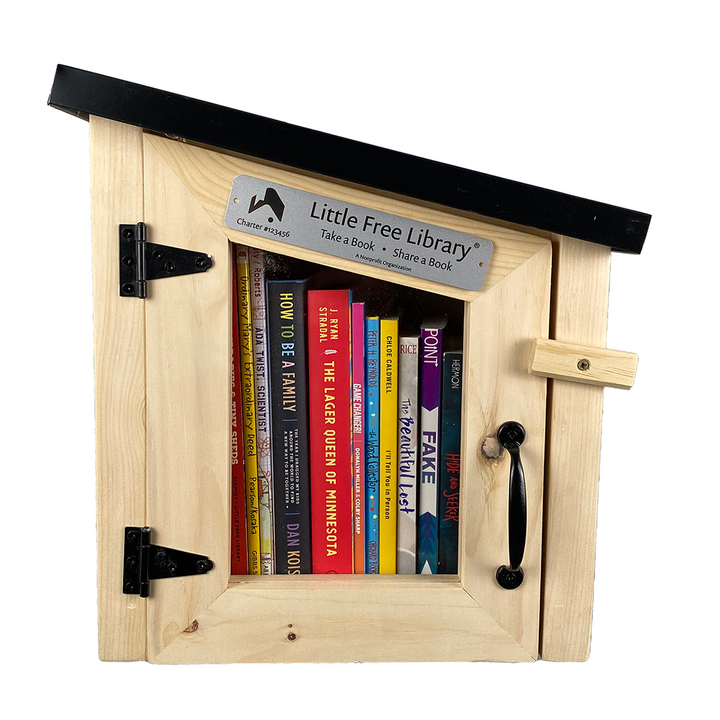 Mini Modern Little Free Library