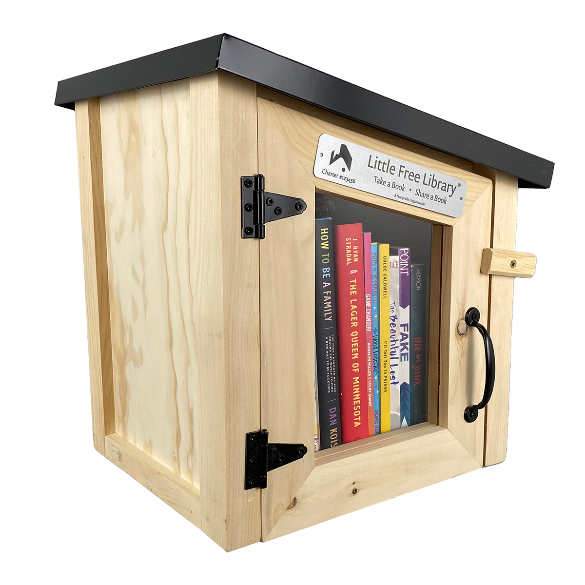 Mini Modern Little Free Library