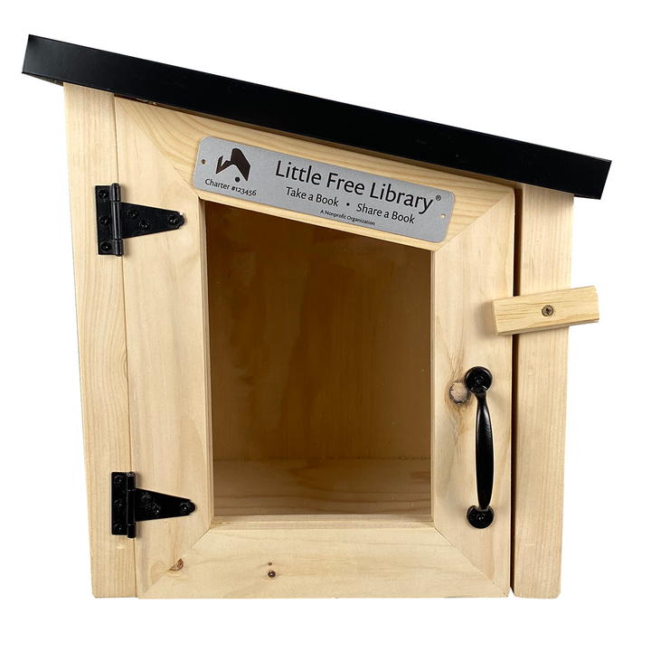 Mini Modern Little Free Library