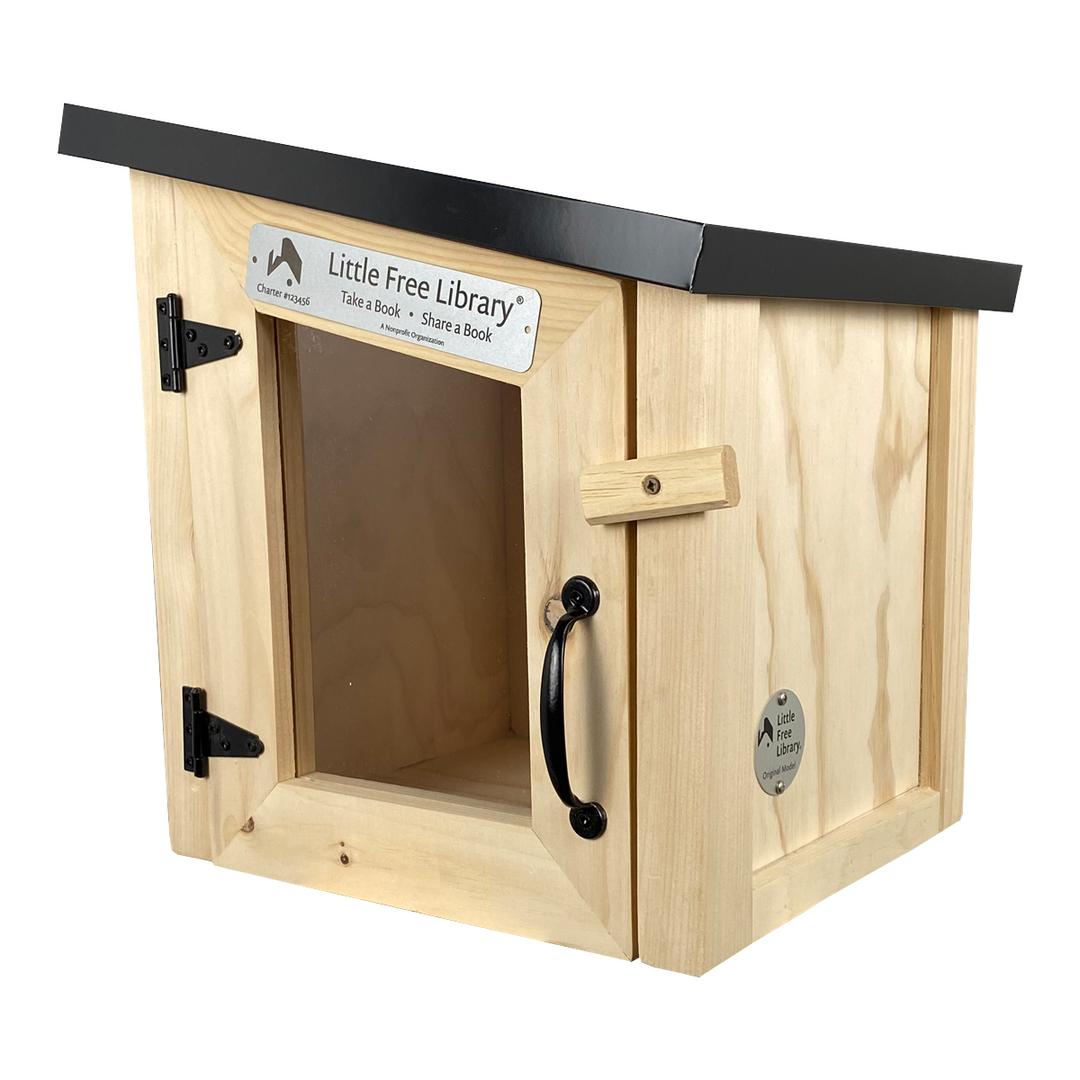 Mini Modern Little Free Library