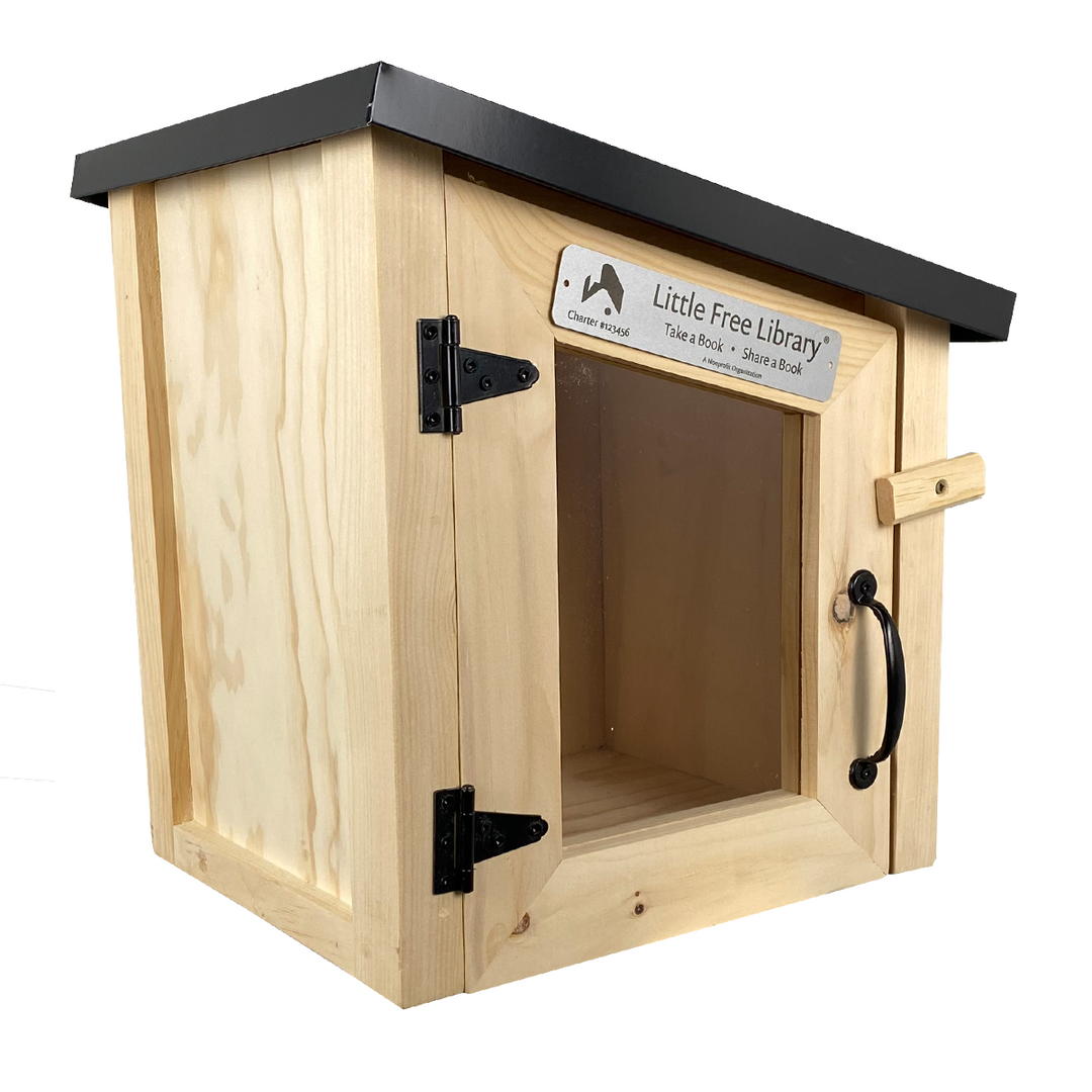 Mini Modern Little Free Library