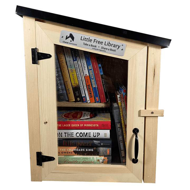 Two Story Modern Unfinished Little Free Library