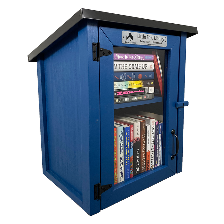 Two Story Shed Blue Kit Little Free Library with Books and Shelf