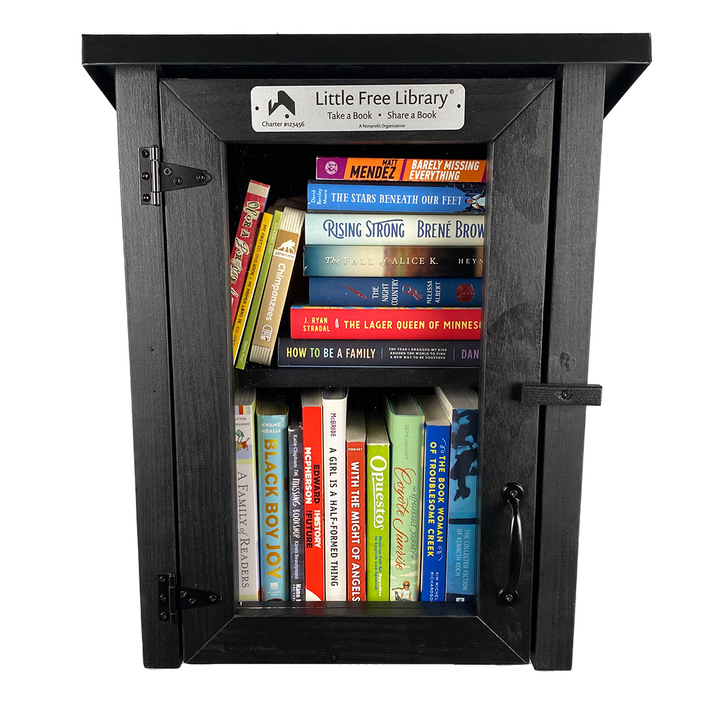Two Story Shed Black Little Free Library