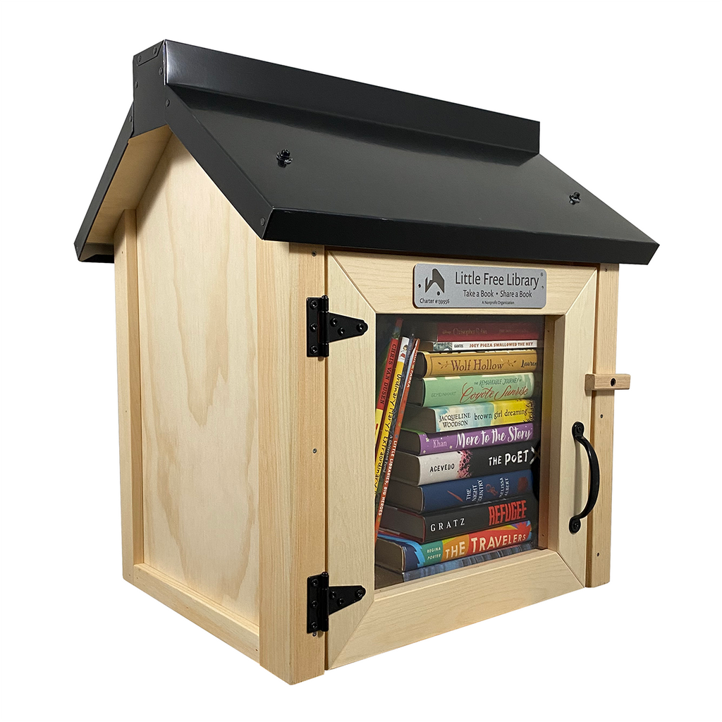 Book Dynasty Little Free Library