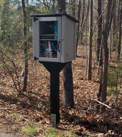 Composite Screw In Library Post and Topper Black – Little Free Library