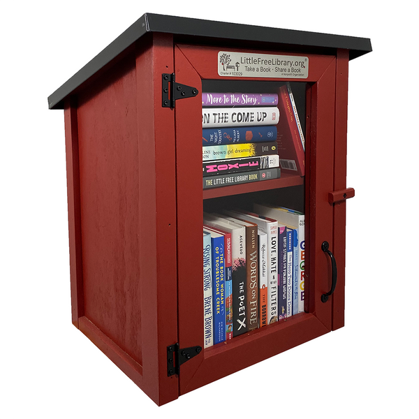 Read In Color Little Free Library Bundle