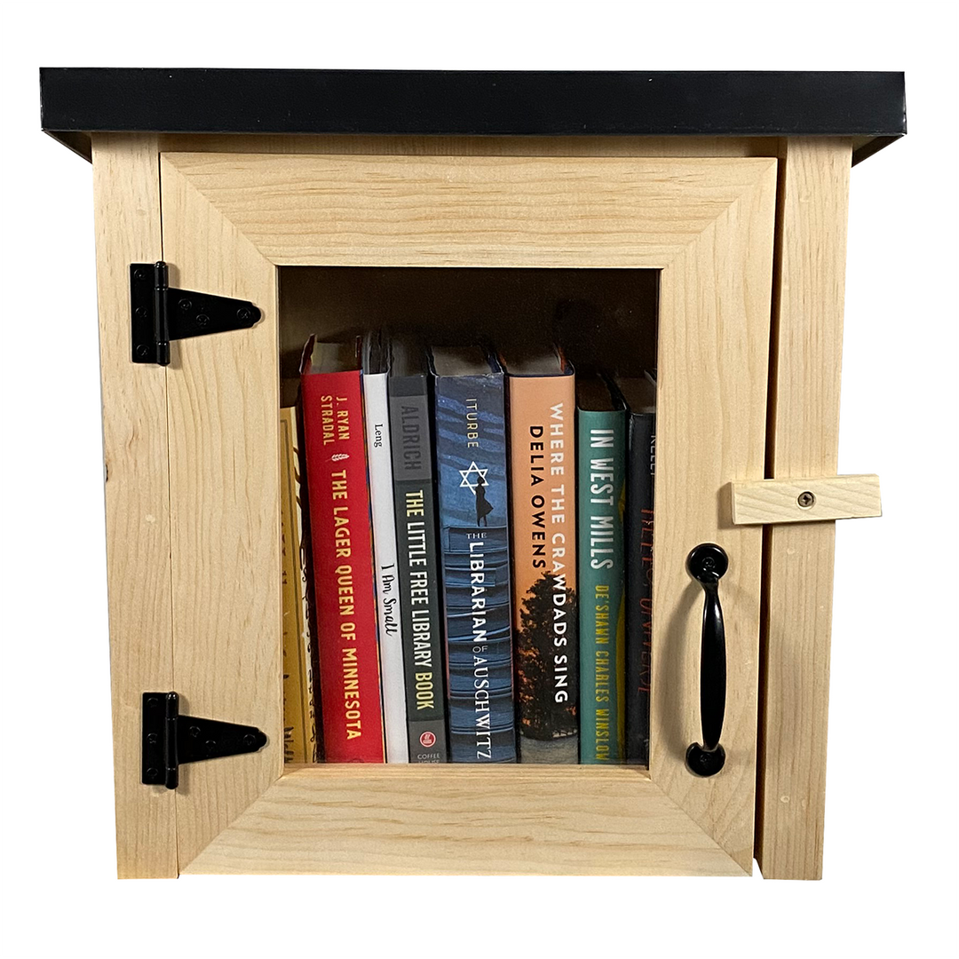 Mini Shed Library Add On Etsy