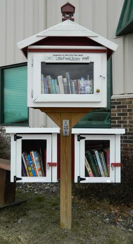 Mini Shed Library Add On Etsy