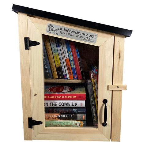 Two Story Modern Unfinished Little Free Library