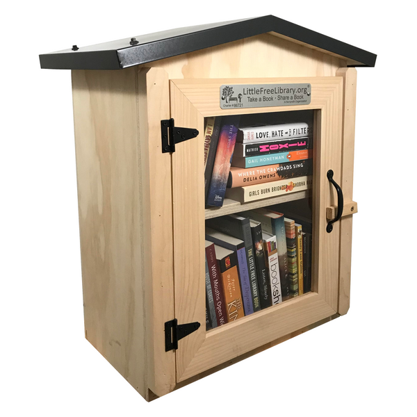 Two Story Gable Unfinished Little Free Library Etsy