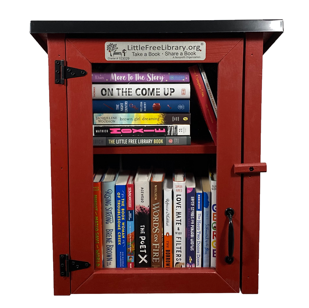 Read In Color Little Free Library Bundle