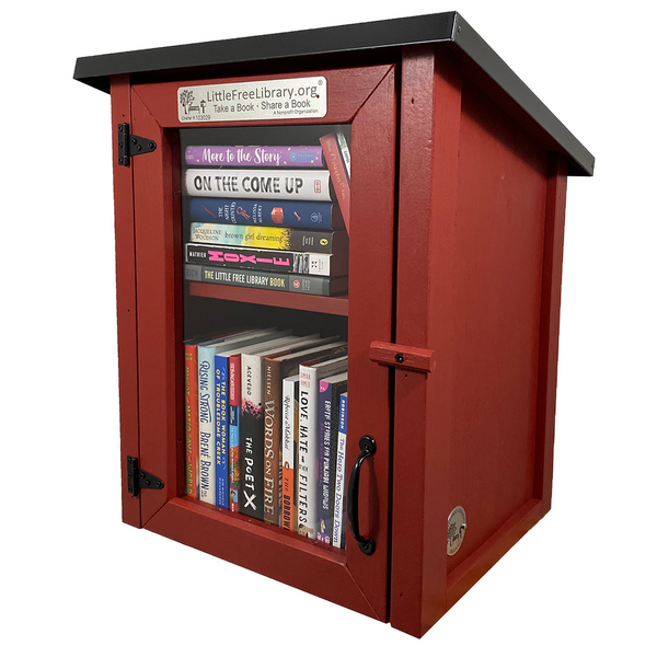 Read In Color Little Free Library Bundle
