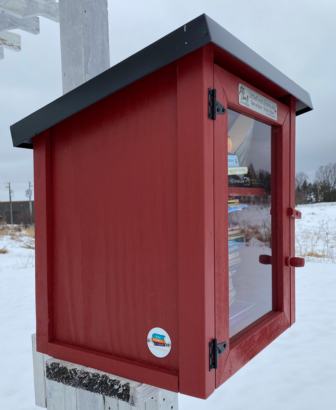 Read In Color Little Free Library Bundle